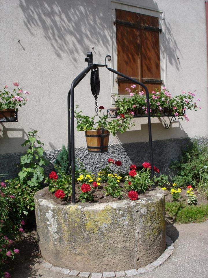 Gite "Le Piemont Des Vosges " Stotzheim Ngoại thất bức ảnh