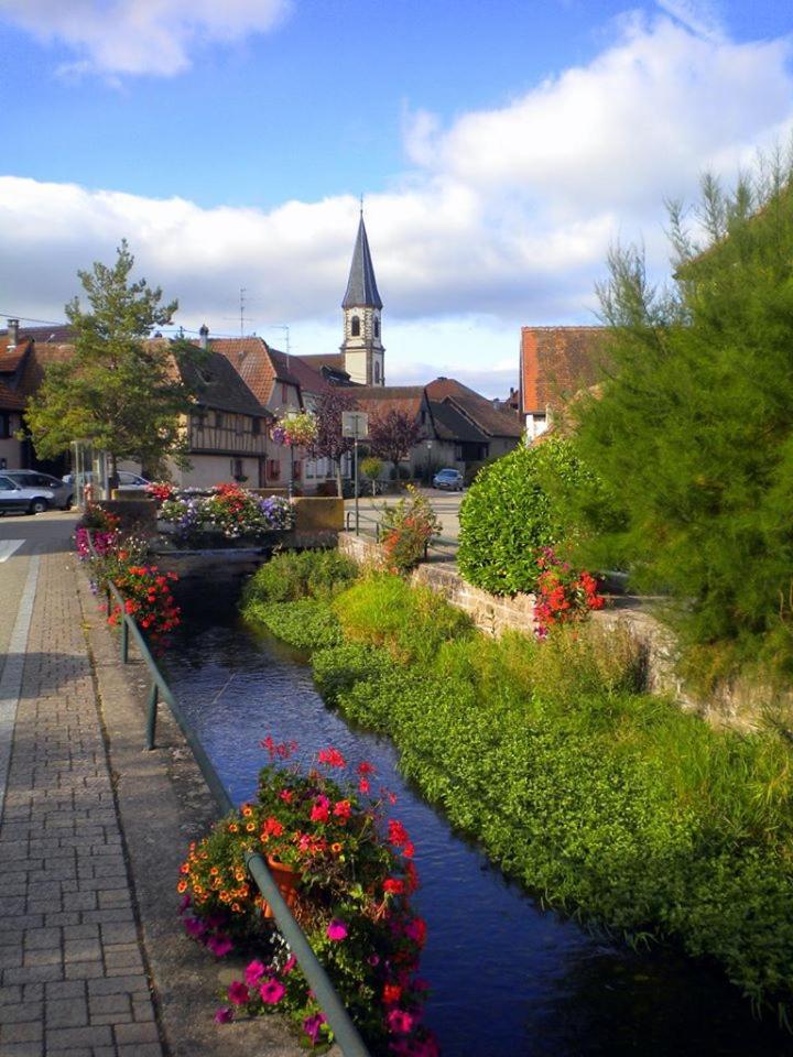 Gite "Le Piemont Des Vosges " Stotzheim Ngoại thất bức ảnh