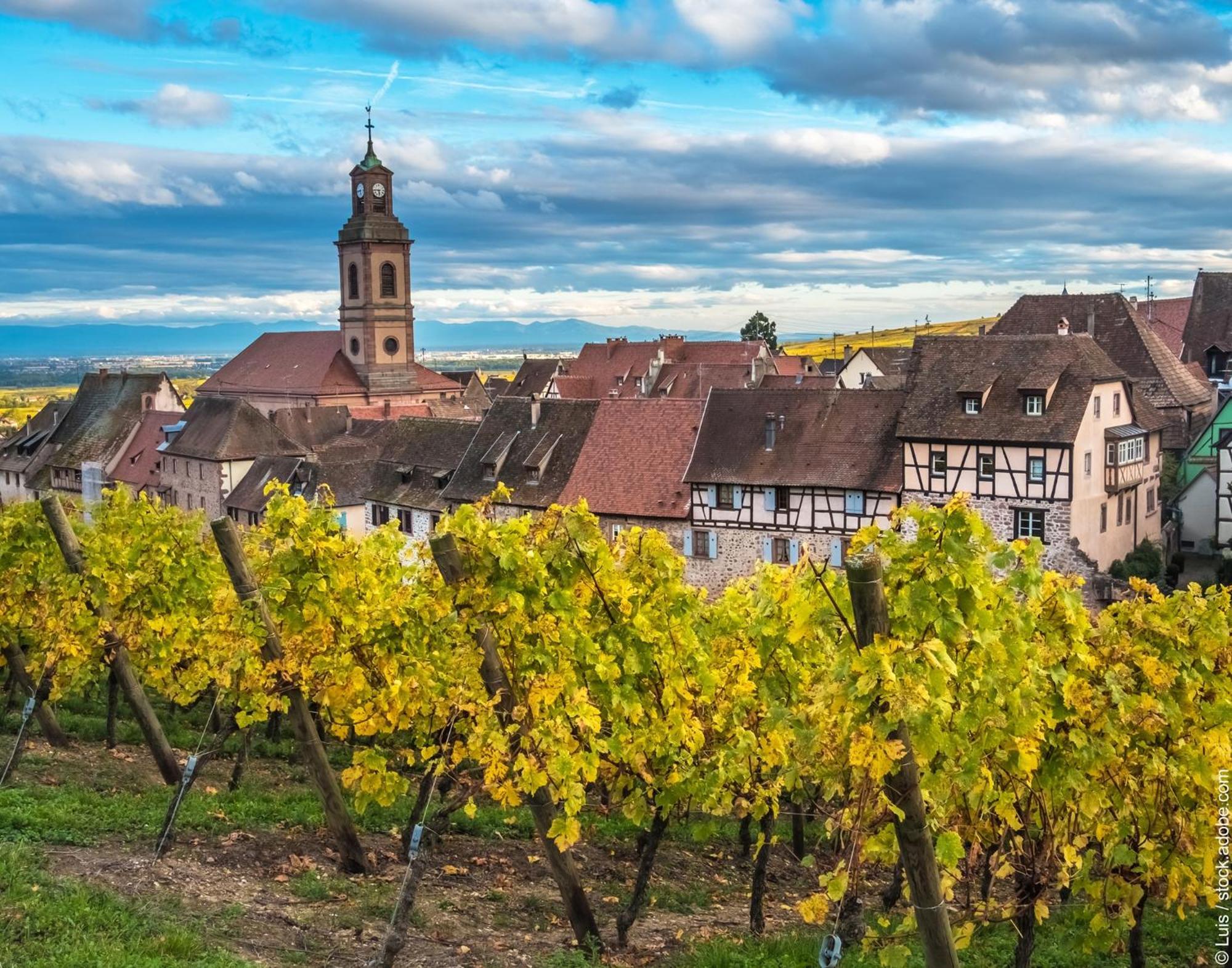 Gite "Le Piemont Des Vosges " Stotzheim Ngoại thất bức ảnh