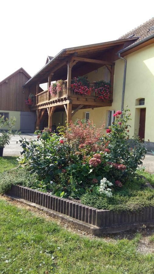 Gite "Le Piemont Des Vosges " Stotzheim Ngoại thất bức ảnh