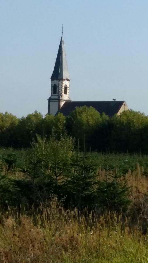 Gite "Le Piemont Des Vosges " Stotzheim Ngoại thất bức ảnh