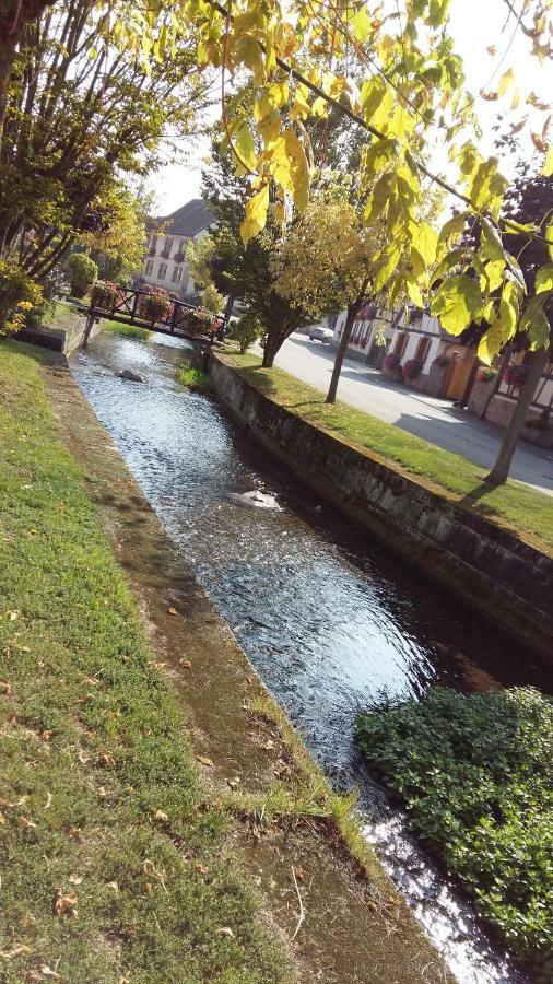 Gite "Le Piemont Des Vosges " Stotzheim Ngoại thất bức ảnh